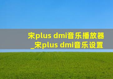 宋plus dmi音乐播放器_宋plus dmi音乐设置